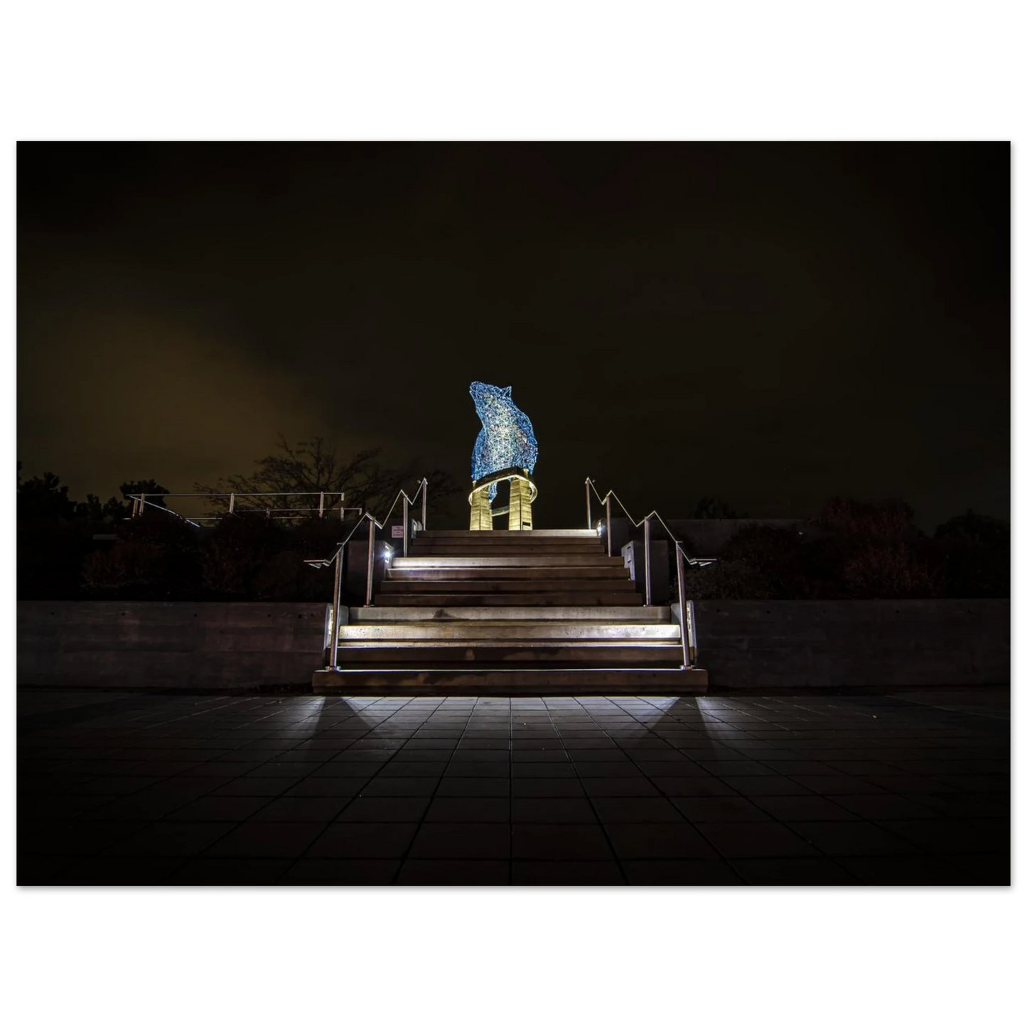 6497b8f1-e940-49d0-b9ae-c41ba0d38ccc