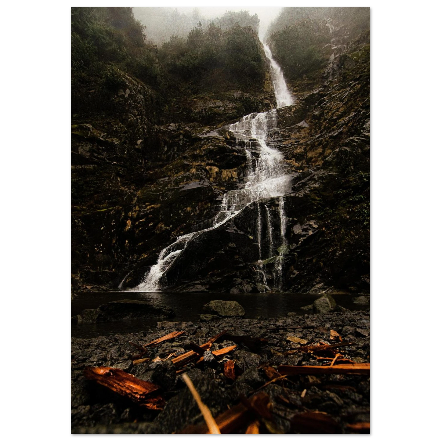 10177d83-382f-4c2c-b566-2dc3c033e3e7
