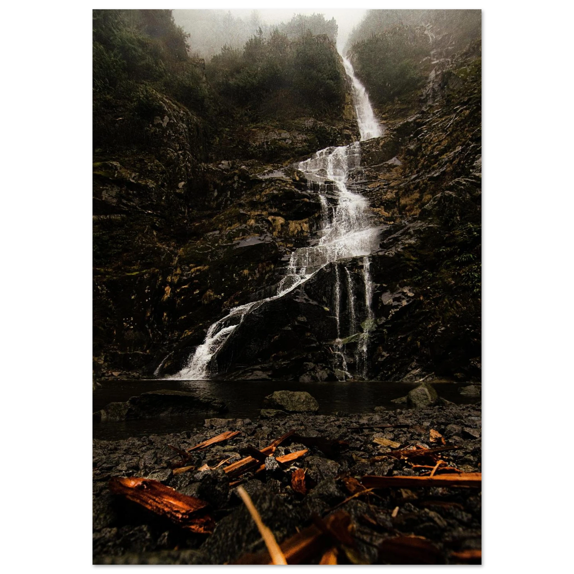 10177d83-382f-4c2c-b566-2dc3c033e3e7