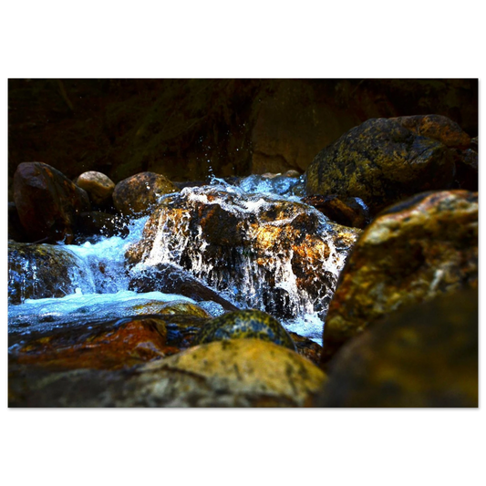 23c76dc0-4ae6-4c05-8ed0-ec77e4d32626